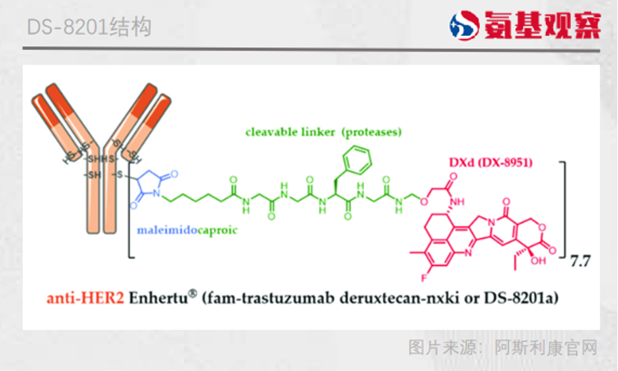 Seagen与第一三共的专利纷争，一场风险的必然发生