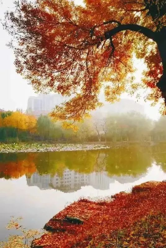 反腐风暴后,重新认识“学术会议”