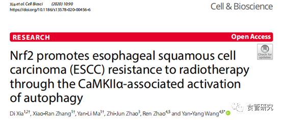 Nrf2通过CaMKIIα相关的自噬激活促进食管鳞状细胞癌对放射治疗的抗性
