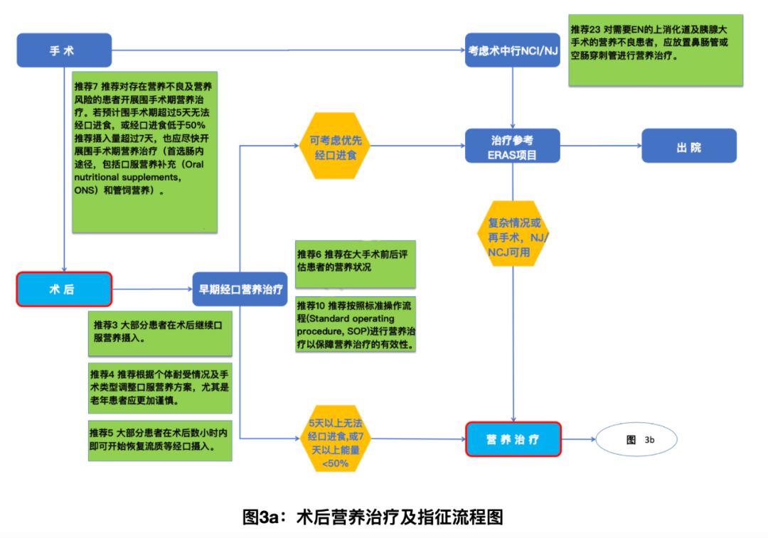 2021ESPEN外科营养治疗实践指南