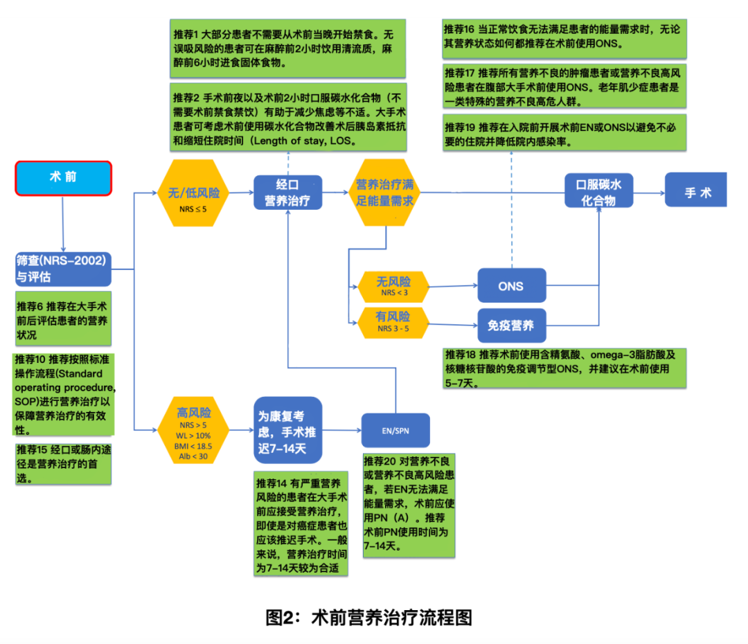 2021ESPEN外科营养治疗实践指南