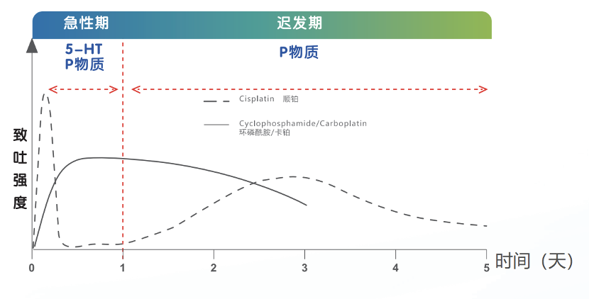 「 指南推荐 」| CINV的全程优化管理（附指南原文）