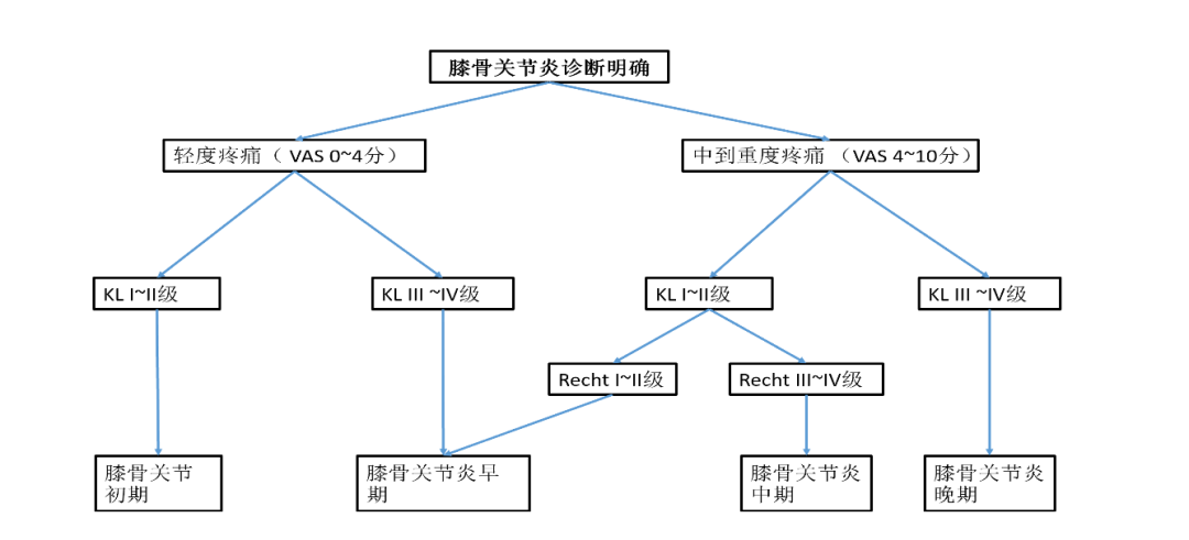 如何优化膝骨关节炎的抗炎药物治疗？