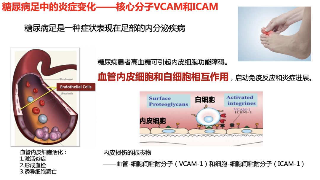 第十五届首都血管论坛| 会议速递