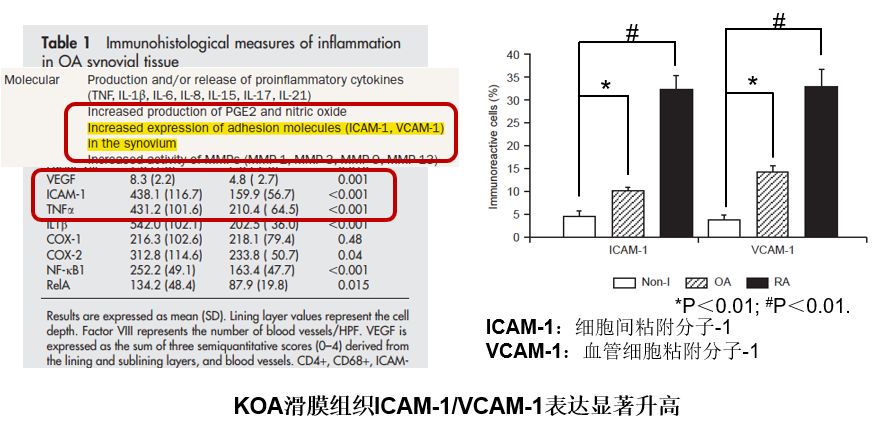 如何优化膝骨关节炎的抗炎药物治疗？