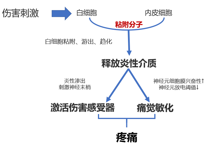 对话疼痛科——正视疼痛治疗