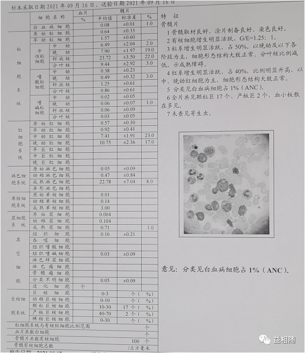 AML容易忽视的感染难点——毛霉菌感染