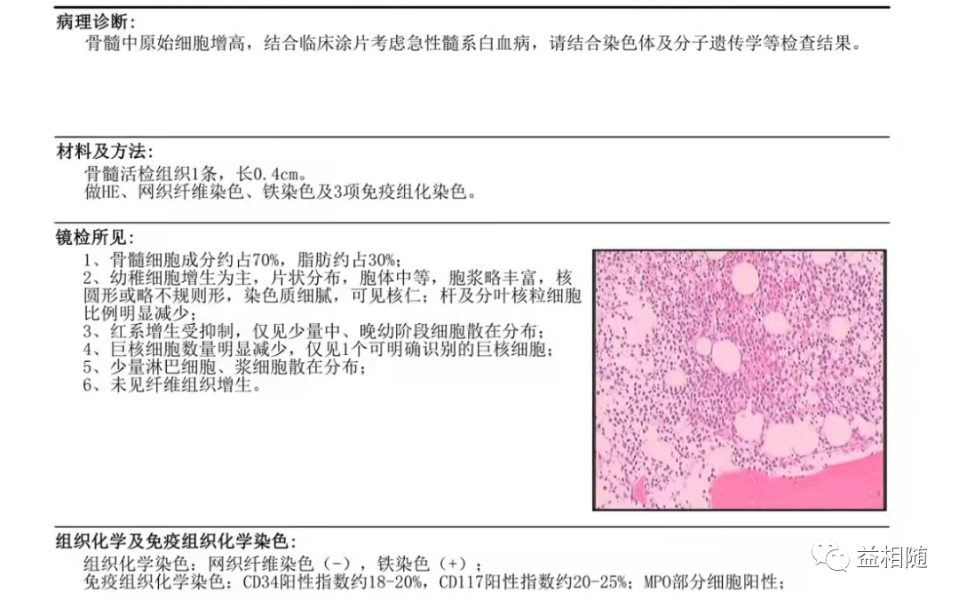 AML容易忽视的感染难点——毛霉菌感染