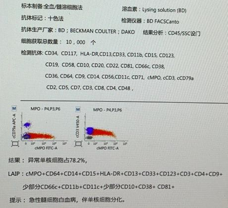 【强效缓解，安之若素】以伊达比星为基础的“3+7”方案实现患者的疗效与安全获益