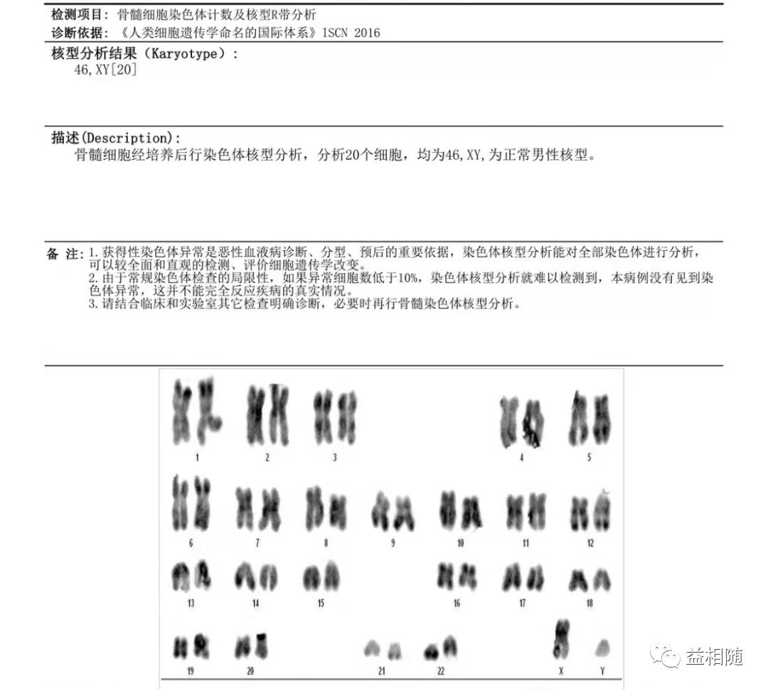 AML容易忽视的感染难点——毛霉菌感染