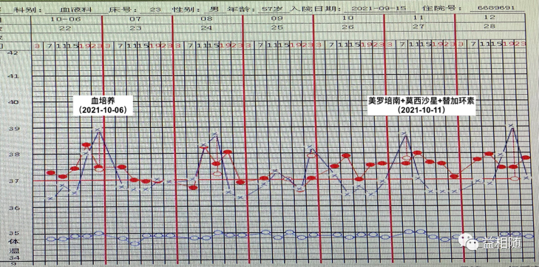 AML容易忽视的感染难点——毛霉菌感染