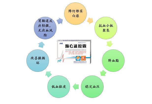 重磅——脑心通、参芍入《冠状动脉血运重建术后心绞痛中西医结合诊疗指南》