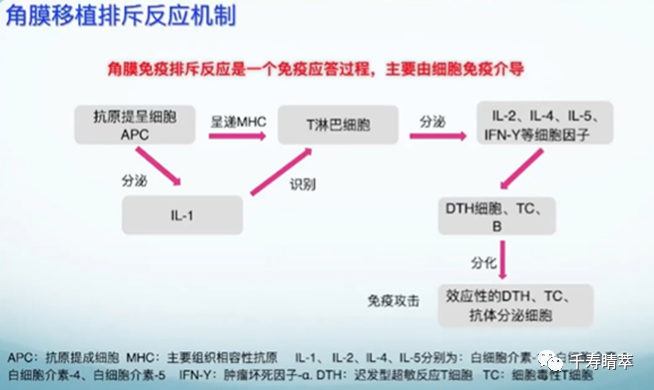 直播回看|千寿“睛”萃学术论坛--眼表超适应症用药及相关指南解读