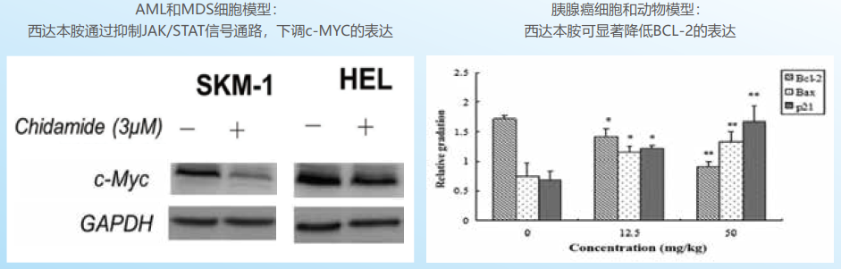 好西例丨MYC/BCL-2双表达DLBCL的新治疗方案