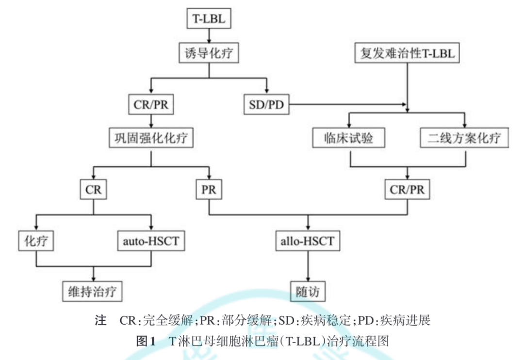 西达本胺获《成人T淋巴母细胞淋巴瘤诊断与治疗中国专家共识》推荐