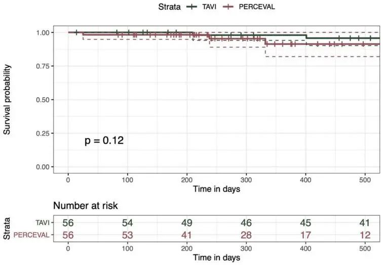 【文献速递】TAVR 时代免缝合主动脉瓣置换术的非劣效性