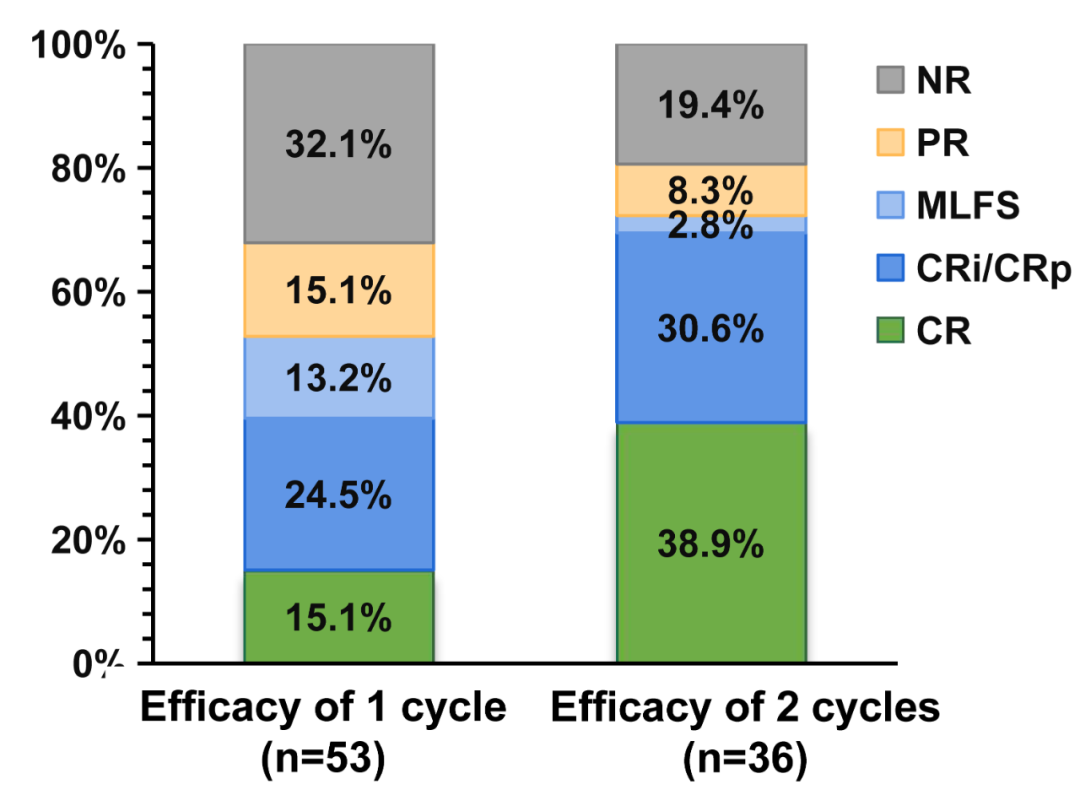 聚焦2023ASH|徐兵教授&翁建宇教授:西达本胺联合治疗有望打造更优AML治疗方案