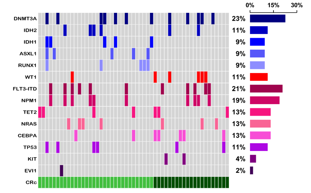 聚焦2023ASH|徐兵教授&翁建宇教授:西达本胺联合治疗有望打造更优AML治疗方案