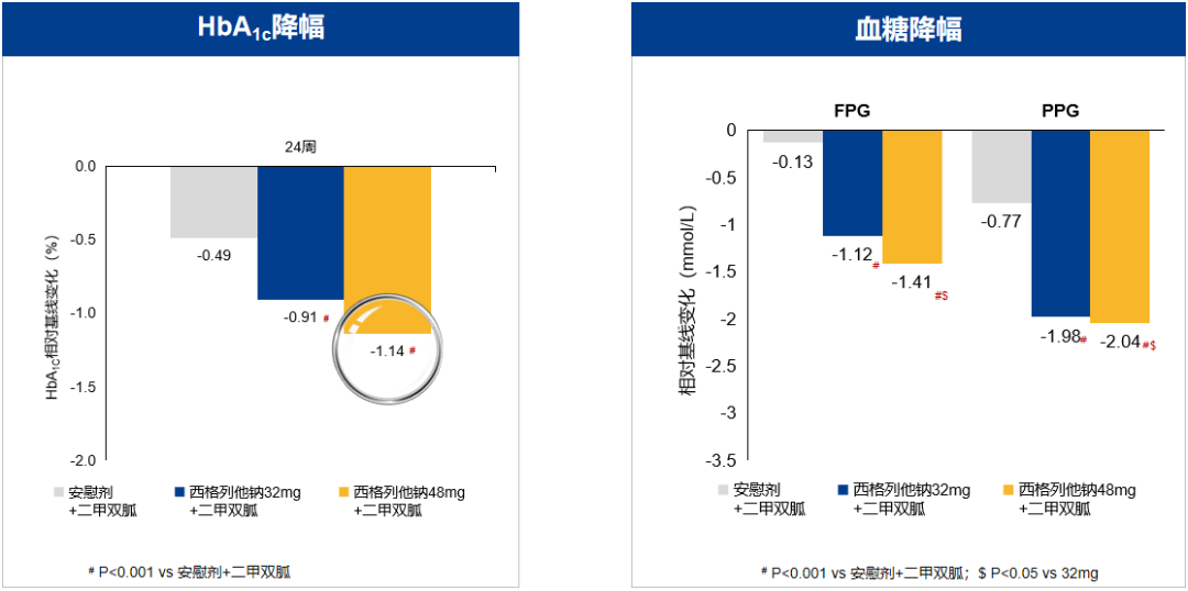 CDS2024 | 立足胰岛素抵抗，直击T2DM核心——西格列他钠足量联合，更多获益