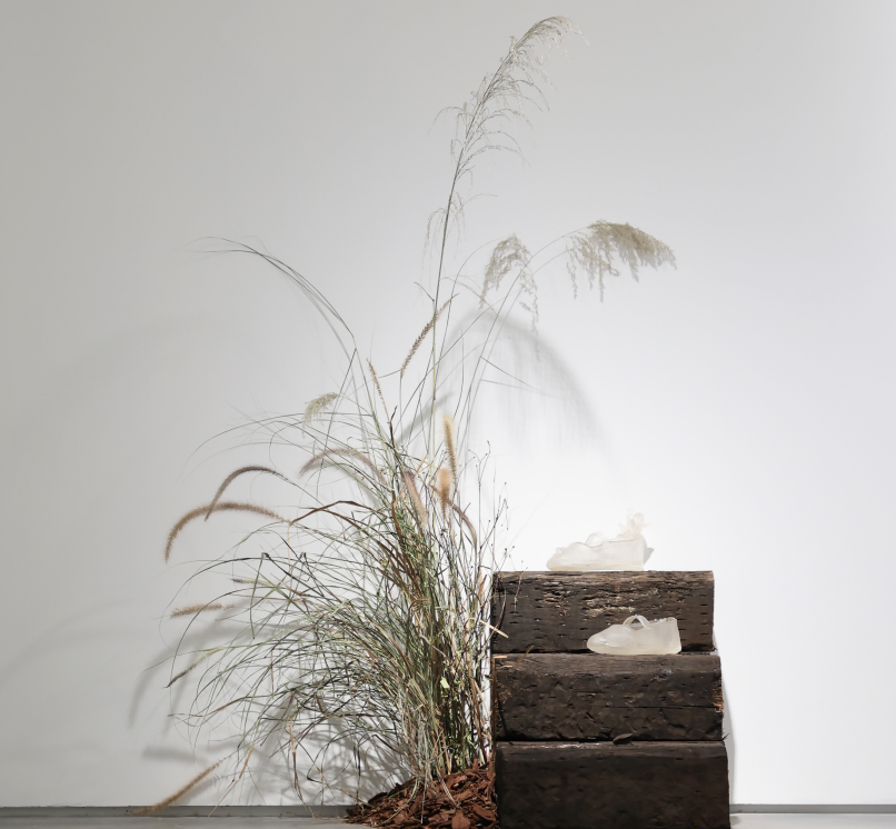 艺术访谈｜杜蒙：时间永远分岔，通向无数将来