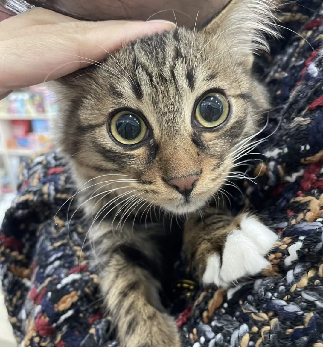 艺术访谈｜杜蒙：时间永远分岔，通向无数将来