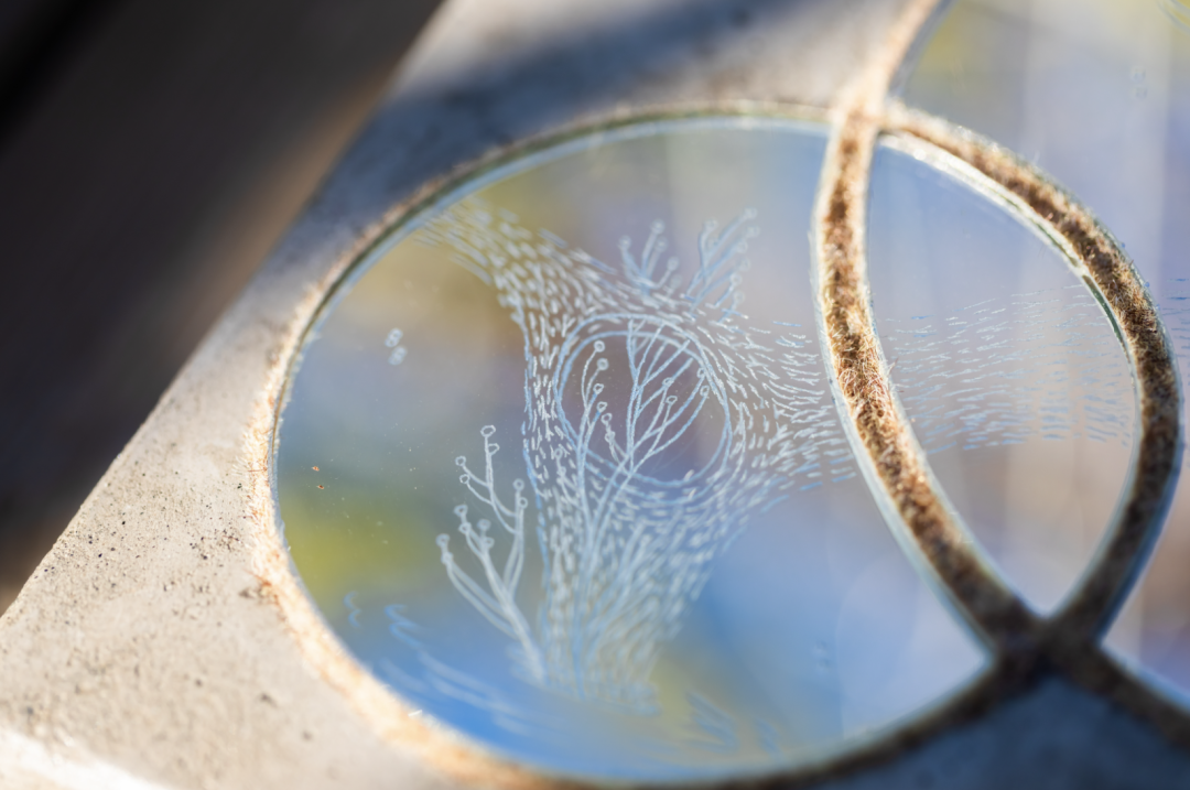 艺术访谈｜杜蒙：时间永远分岔，通向无数将来