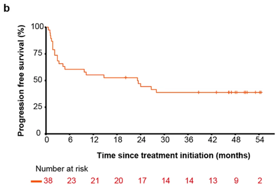 表观免疫学开创新篇章：西达本胺联合PD-1单抗治疗复发/难治性结外NK/T细胞淋巴瘤——协同增效作用引关注