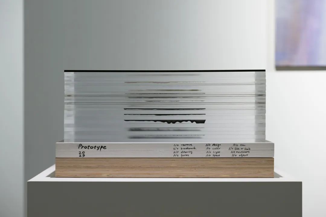 专题｜感知跃迁：王志渊