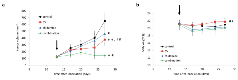 刘澎教授：表观遗传联合方案探索外周T细胞淋巴瘤治疗中的柳暗花明丨病例分享与文献精读