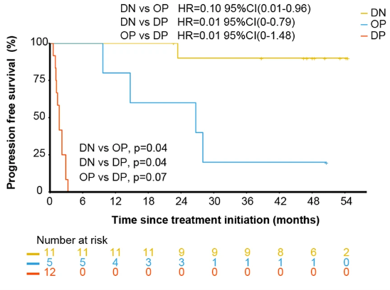 表观免疫学开创新篇章：西达本胺联合PD-1单抗治疗复发/难治性结外NK/T细胞淋巴瘤——协同增效作用引关注