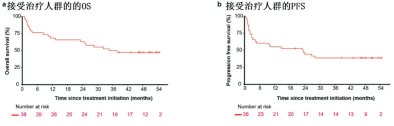 刘澎教授、魏辉教授：观机制，聚前沿，探未来，揭秘表观遗传药物HDACi治疗血液肿瘤的破局之道