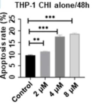 刘澎教授、魏辉教授:观机制,聚前沿,探未来,揭秘表观遗传药物HDACi治疗血液肿瘤的破局之道