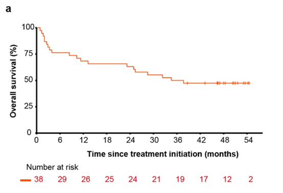 表观免疫学开创新篇章：西达本胺联合PD-1单抗治疗复发/难治性结外NK/T细胞淋巴瘤——协同增效作用引关注