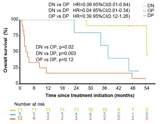 表观免疫学开创新篇章：西达本胺联合PD-1单抗治疗复发/难治性结外NK/T细胞淋巴瘤——协同增效作用引关注