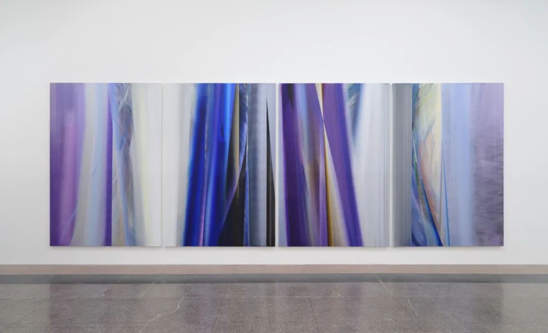 专题｜感知跃迁：王志渊