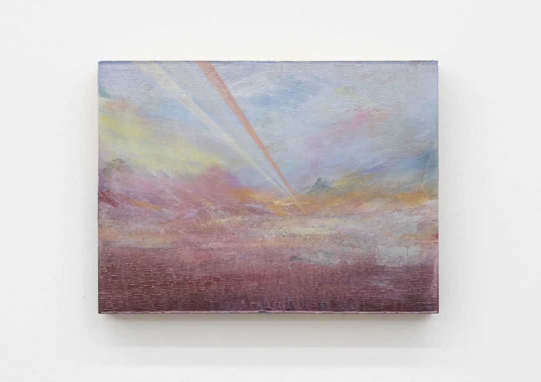 专题｜感知跃迁：王志渊