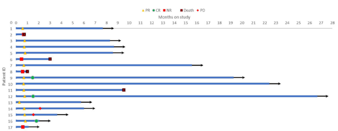 前沿速递——王昭教授：西达本胺联合方案或是治疗HLH的有潜力的新选择