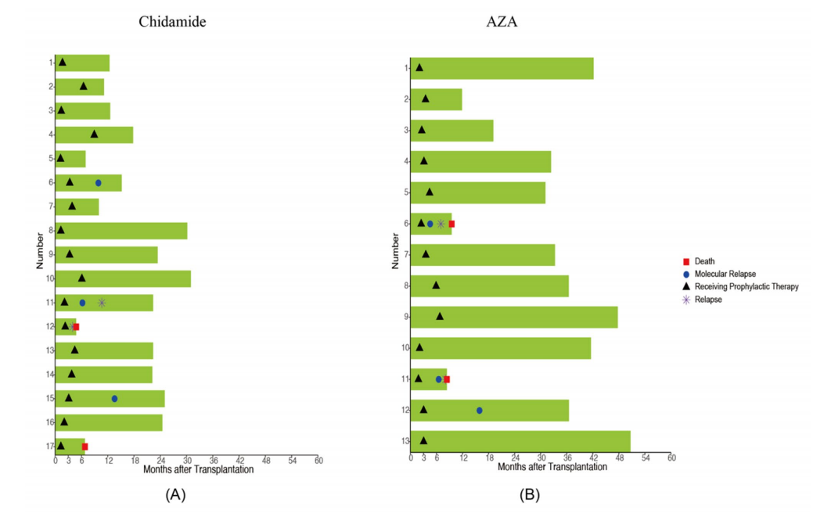 医学前沿——西达本胺在预防移植后复发与维持治疗中的创新应用
