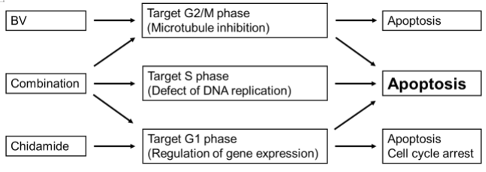 刘澎教授：表观遗传联合方案探索外周T细胞淋巴瘤治疗中的柳暗花明丨病例分享与文献精读