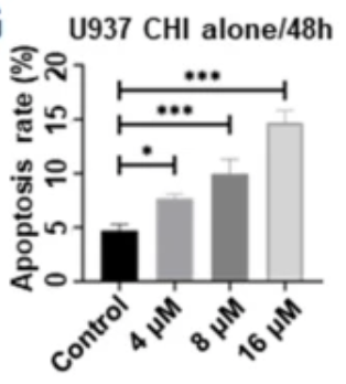 刘澎教授、魏辉教授:观机制,聚前沿,探未来,揭秘表观遗传药物HDACi治疗血液肿瘤的破局之道