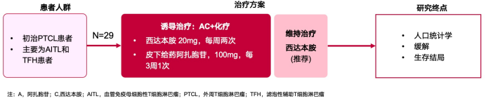 并蒂花开，硕果累累 | 周辉教授团队研究：西达本胺联合方案一线治疗TFH淋巴瘤ORR达96.6%，从肿瘤微环境层面揭示抗癌新机制