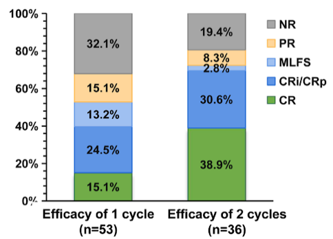 刘澎教授、魏辉教授:观机制,聚前沿,探未来,揭秘表观遗传药物HDACi治疗血液肿瘤的破局之道