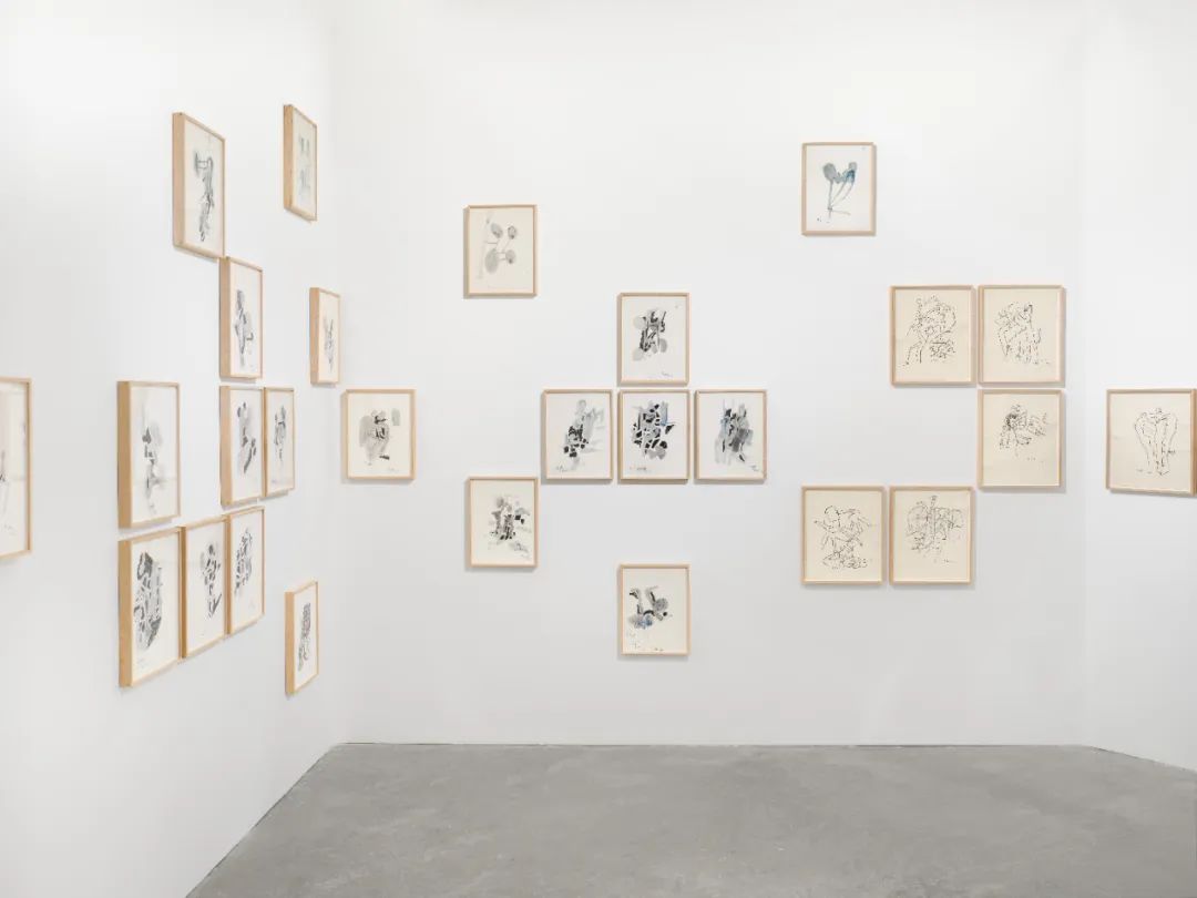 香格纳M50 | 胡项城 x 杜曦云：从“疑似”展开 | 对谈回顾