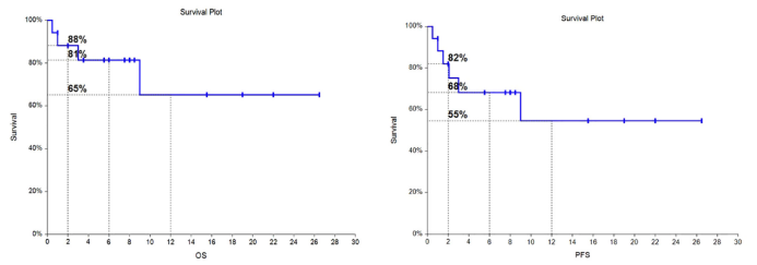 前沿速递——王昭教授：西达本胺联合方案或是治疗HLH的有潜力的新选择