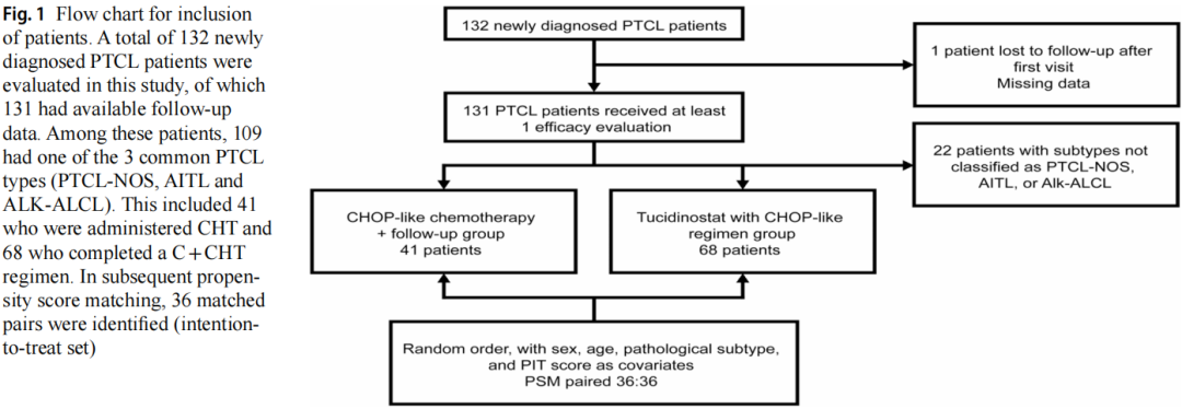 医学前沿——西达本胺联合CHOP样方案一线治疗外周T细胞淋巴瘤的单中心真实世界研究