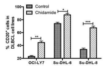 刘澎教授、魏辉教授：观机制，聚前沿，探未来，揭秘表观遗传药物HDACi治疗血液肿瘤的破局之道