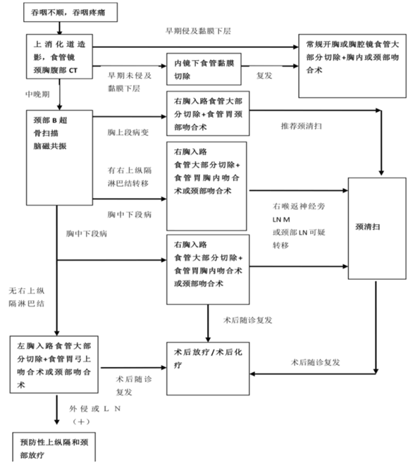 雷替曲塞治疗食管癌一例，为老年患者提供明确获益2.png