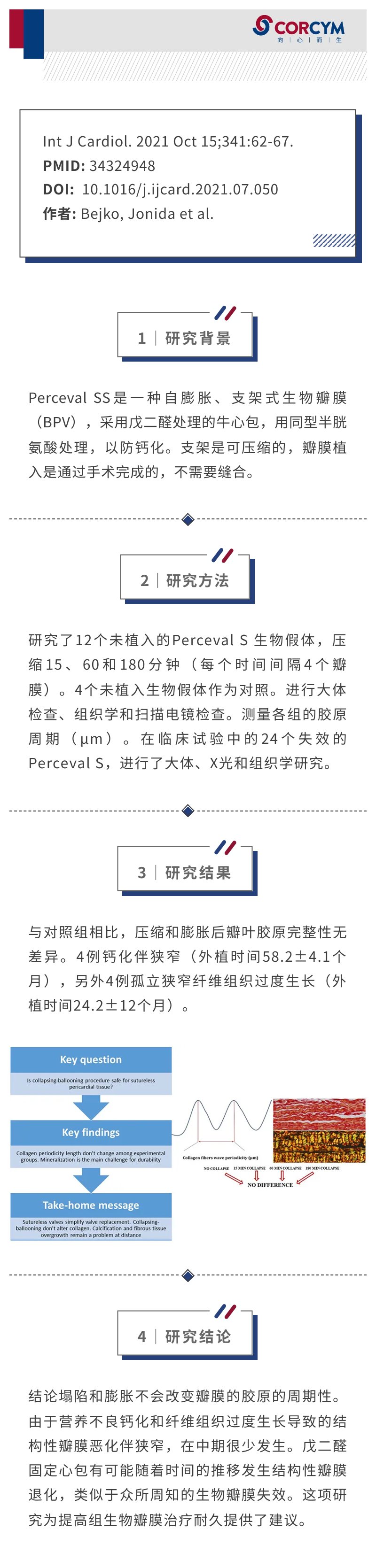 Perceval S（一种免缝合心包瓣膜假体）的形态学研究：球囊压缩后胶原的完整性和远处瓣膜结构的变化.jpg