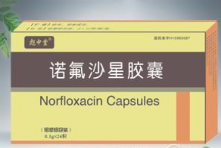 诺氟沙星胶囊（双铝）.png