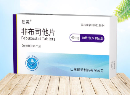 非布司他片.png